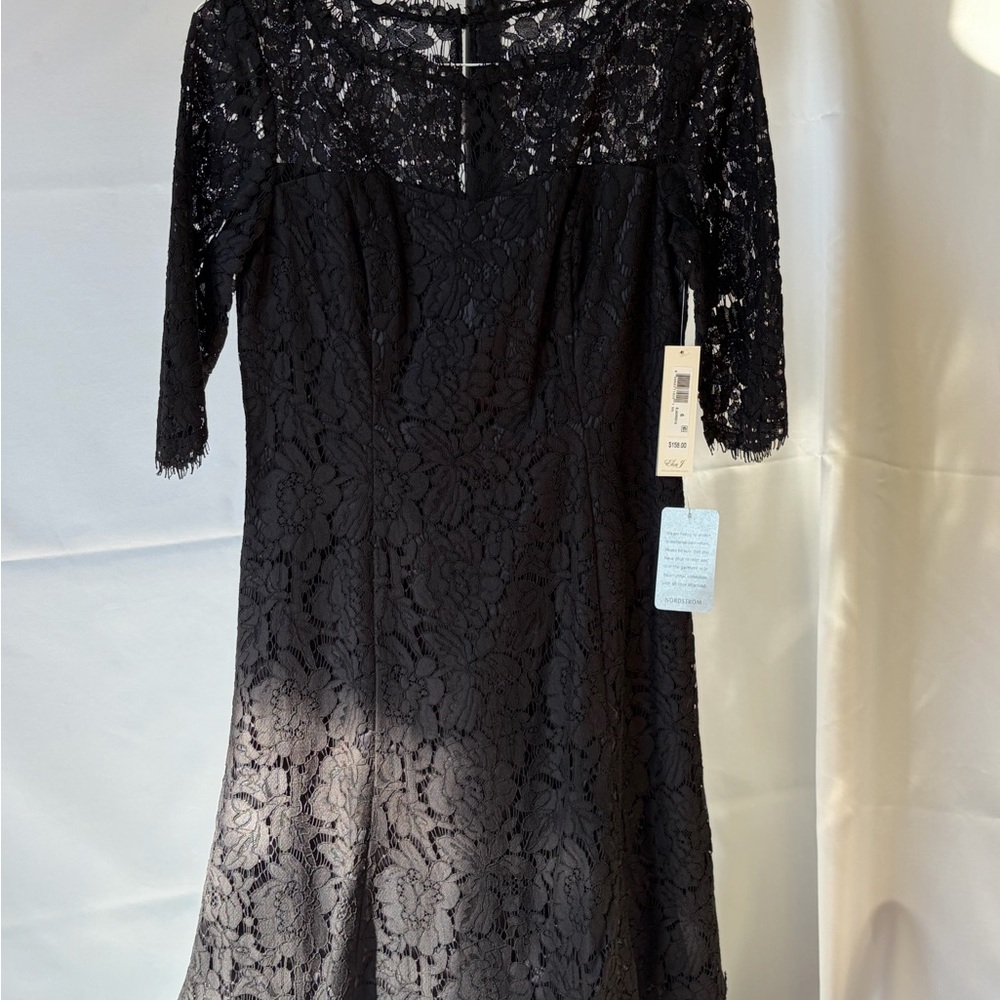 Eliza J Black Lace Long Sleeve Dress